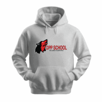 Grey Hoodie Sweatshirt with DPP decal